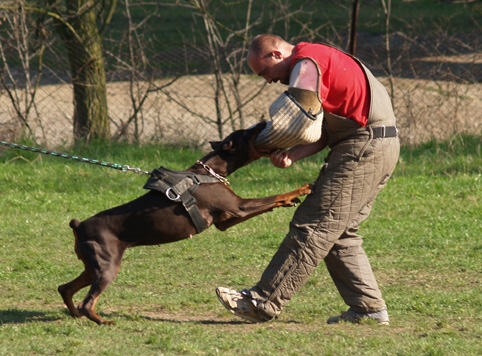 Training 26. 3. 2007